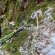 037 Torrent Saltant Lluis Malanyeu Rocjumper