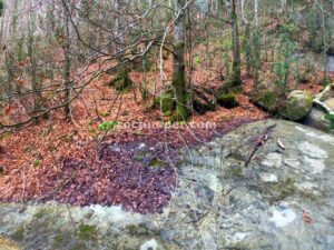 038 Torrent Pla Traver Vidra Rocjumper