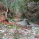 038 Torrent Saltant Lluis Malanyeu Rocjumper