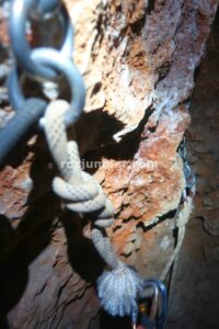 Chimenea - Avenc de Can Sadurní - Begues - RocJumper