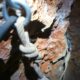 039 Avenc Can Sadurni Begues Rocjumper