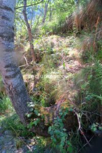 Retorno - Gorga de Ransol - Canillo - RocJumper