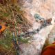 043-barranc-ribalera-oliana-rocjumper