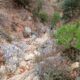 044 Torrent Frau Sant Corneli Rocjumper