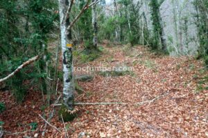 Cruce Sendero - Torrrent del Pla dels Hortals - Vidrà - RocJumper