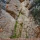 045 Torrent Jou Afluente Izquierdo Sant Corneli Rocjumper