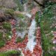 045 Torrent Saltant Lluis Malanyeu Rocjumper