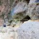 047 Torrent Jou Afluente Izquierdo Sant Corneli Rocjumper