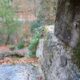 049 Torrent Frau Sant Corneli Rocjumper