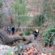 050 Torrent Frau Sant Corneli Rocjumper
