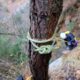 052 Torrent Frau Sant Corneli Rocjumper