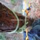 053 Torrent Frau Sant Corneli Rocjumper