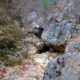 055 Torrent Jou Afluente Izquierdo Sant Corneli Rocjumper
