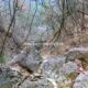 056 Torrent Jou Afluente Izquierdo Sant Corneli Rocjumper