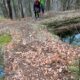 057 Torrent Jou Afluente Izquierdo Sant Corneli Rocjumper