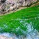 058 Torrent Jou Afluente Izquierdo Sant Corneli Rocjumper