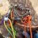 062-barranc-ribalera-oliana-rocjumper