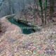 062 Torrent Jou Afluente Izquierdo Sant Corneli Rocjumper