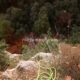064 Barranc Ribalera Oliana Rocjumper