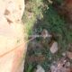 065 Barranc Ribalera Oliana Rocjumper