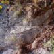 072 Barranc Ribalera Oliana Rocjumper