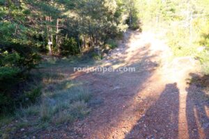 Retorno - Barranc de la Ribalera - Oliana - RocJumper