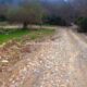 001 Torrent Monnera Castell Areny Rocjumper