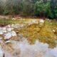003 Gorgues Canals Sadernes Rocjumper