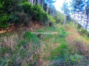 Pista - Barrranco de Diablozulo - Monreal - RocJumper