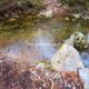 004 Gorgues Canals Sadernes Rocjumper