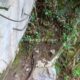 005 Via Ferrata Calera Ramales Victoria Rocjumper