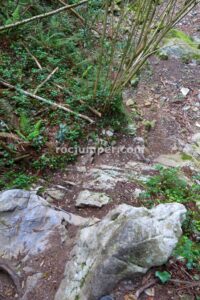 Bajada - Vía Ferrata del Calera - Ramales de la Victoria - RocJumper