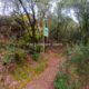 007 Gorgues Canals Sadernes Rocjumper