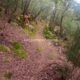 009 Gorgues Canals Sadernes Rocjumper