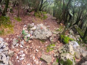Camino - Gorgues de les Canalas - Sadernes - RocJumper