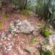 010 Gorgues Canals Sadernes Rocjumper