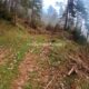 010 Torrent Monnera Castell Areny Rocjumper
