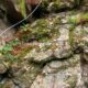 011 Via Ferrata Leitzaran Andoain Rocjumper