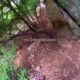 012 Barranco Diablozulo Monreal Rocjumper