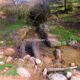 013 Torrent Monnera Castell Areny Rocjumper