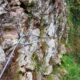 013 Via Ferrata Leitzaran Andoain Rocjumper