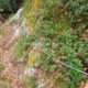 014 Via Ferrata Leitzaran Andoain Rocjumper