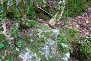 R1 - Barranco de Errekazar - Ezperun - RocJumper