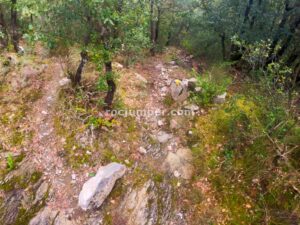 Llano - Gorgues de les Canalas - Sadernes - RocJumper