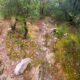 015 Gorgues Canals Sadernes Rocjumper