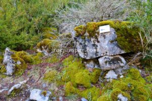 Aproximación al inicio - Vía Ferrata Pared de Isérias - Canfranc-estación - RocJumper