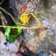 027 Barranco Diablozulo Monreal Rocjumper