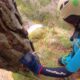 029 Torrent Monnera Castell Areny Rocjumper