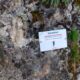 032 Via Ferrata Pared Iserias Canfranc Estacion Rocjumper