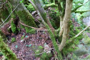 R5 - Barranco de Errekazar - Ezperun - RocJumper
